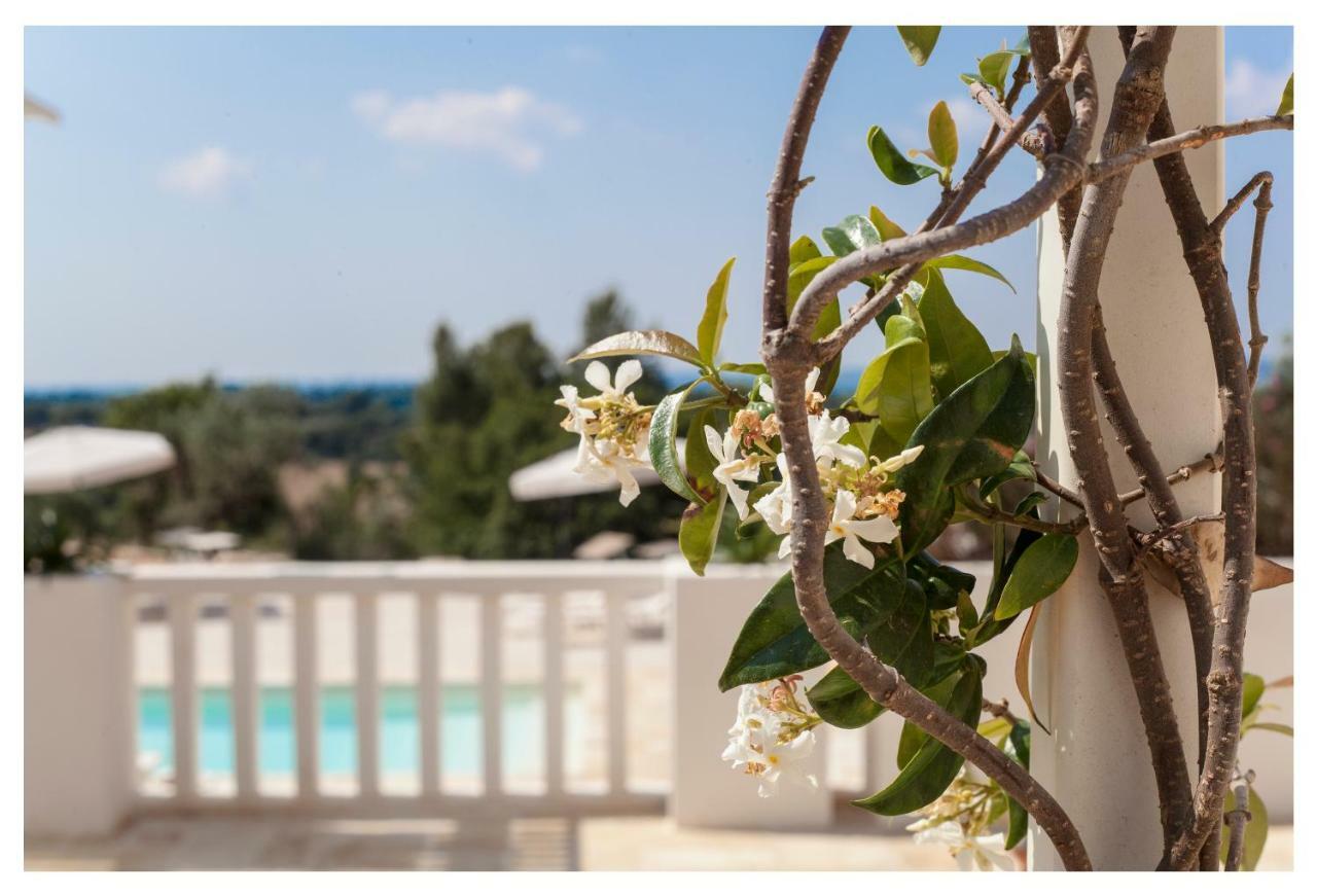 Marinelli Guest House Чистернино Экстерьер фото